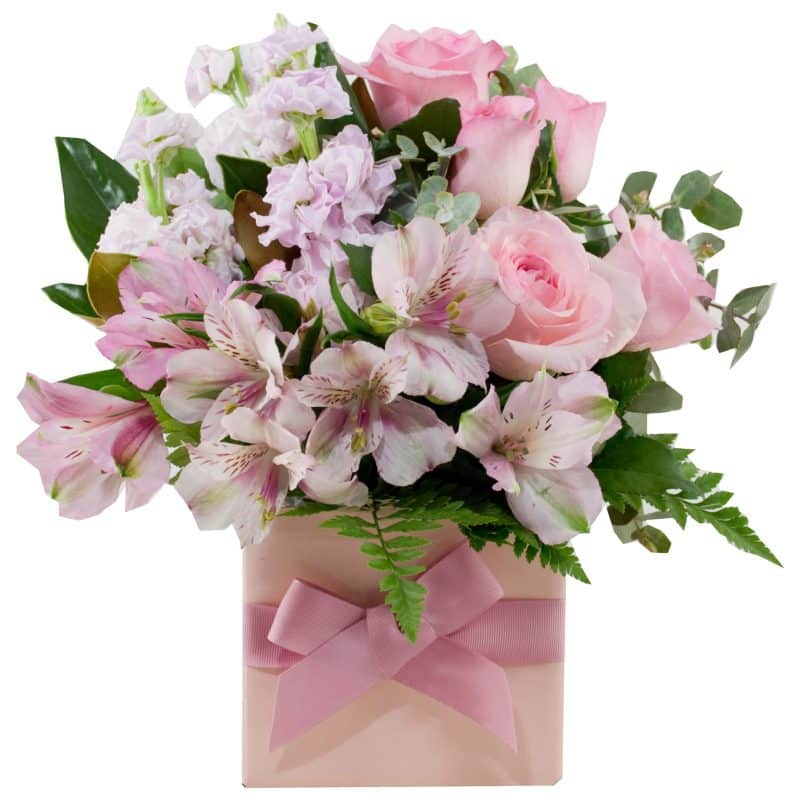 Light Pink Beauty Flower Arrangement | The Flower Company