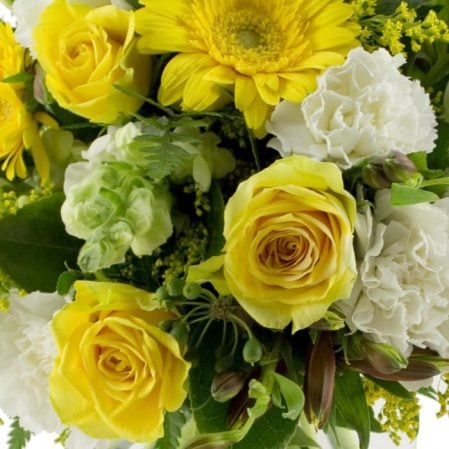 theflowercompany.com .au The Flower Company Same Day Free Delivery eas174 1 Flowers to Waterloo | Florist Waterloo | Sydney The Flower Company