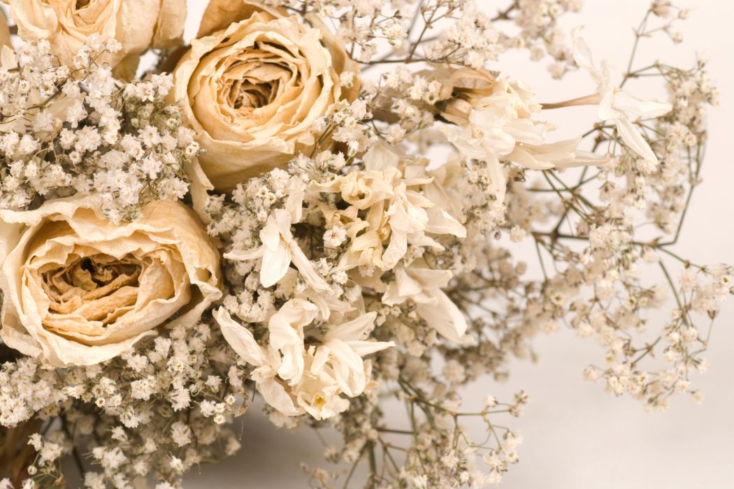 26 Creating Dried Flower Arrangements | DIY Guide The Flower Company